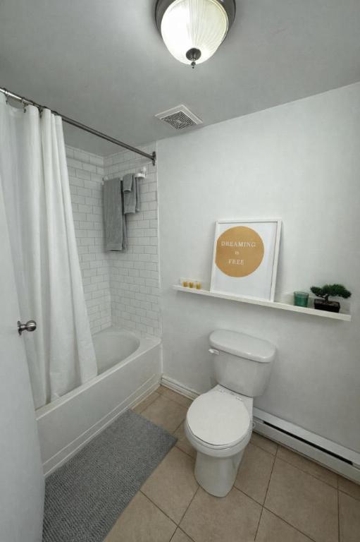 Studio - Montréal - $1,055 /mo | 3209733
