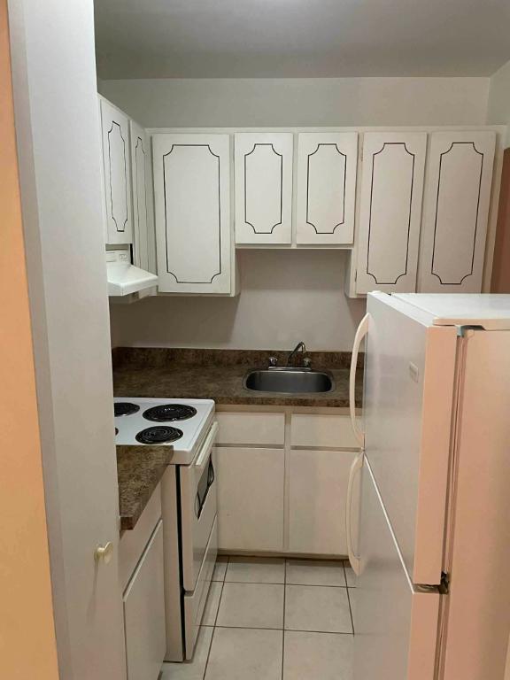 3 ½ Centre-ville de Montréal | À 2 minutes à pied du métro Guy–Concordia | 1 280 $/mois | 3209782