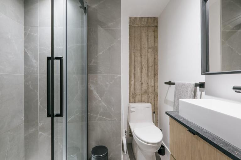 Loft entièrement meublé à louer Saint-Jean-Baptiste juillet 2026 | 3223557