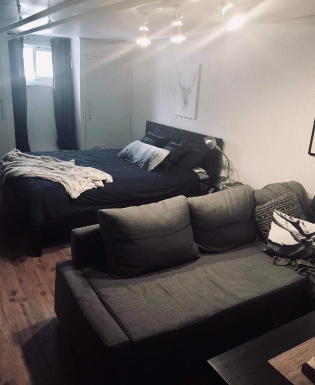 CDN – Bienvenue aux étudiants, très grand superbe studio | 3210421