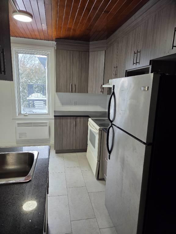 Appartement 3 ½ à louer – Entièrement rénové ! | 3210438