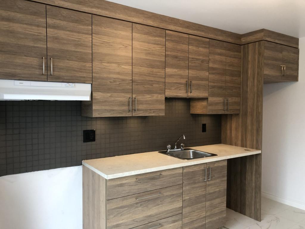 Très beau 4 1/2 refait à neuf et libre le 1er juillet | 3210441