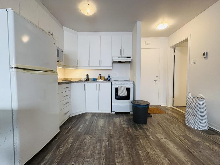 Loft entièrement meublé à louer Sainte-Foy / Sillery août 2026 | 3228909