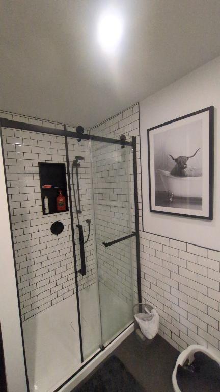 Beau 3 et demi récent ( 2025) Domaine sur le vert 1er mai 2026 | 3210461