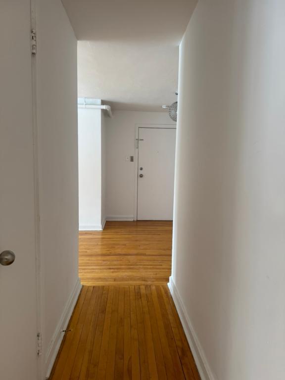 GRAND 3 1/2 À LOUER, CÔTE-DES-NEIGES, 1ER AVRIL | 3210463