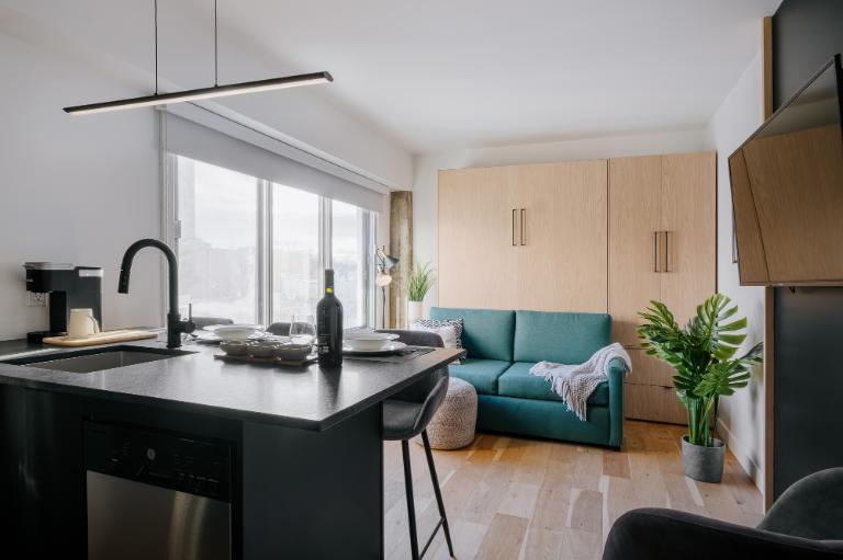 Loft entièrement meublé à louer Saint-Jean-Baptiste juillet 2026 | 3236129