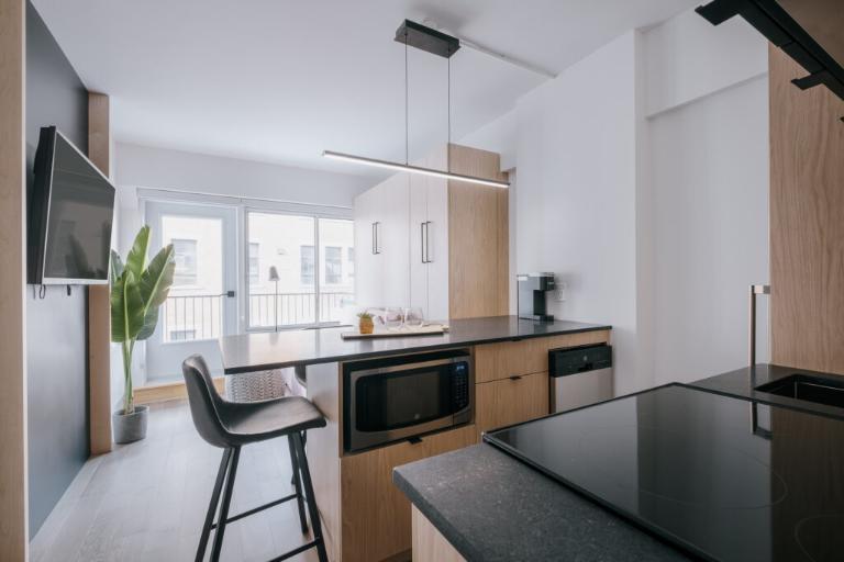 Loft entièrement meublé à louer Saint-Jean-Baptiste juillet 2026 | 3236130