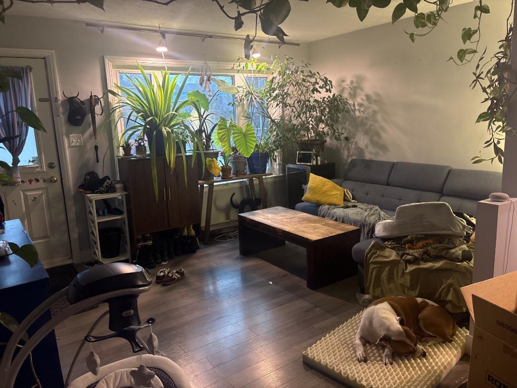 GRAND 5 ½ À LOUER – FLEURIMONT – DISPONIBLE MAINTENANT | 3210529