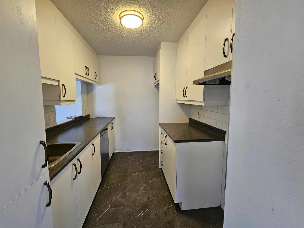 Grand 4 1/2 rénové à Sainte-Julie - Disponible 1er juillet 2026 | 3210625