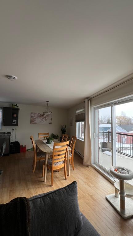 5 1/2 juillet | 3210729