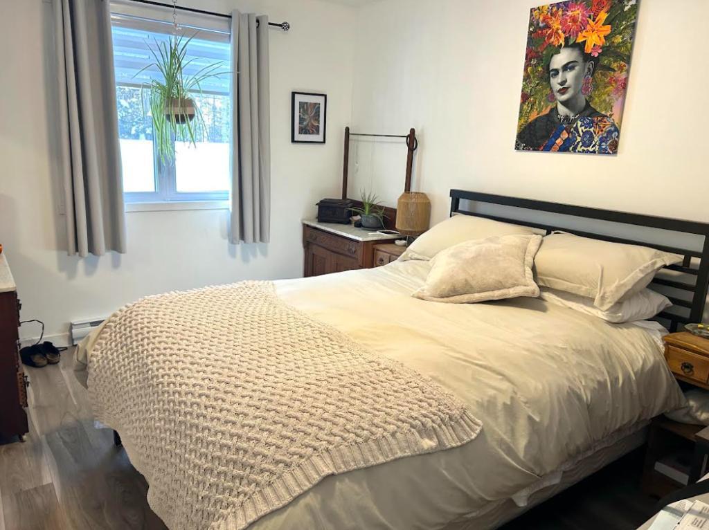 5 1/2 en nature à Ste-Agathe-des-Monts | 3210808