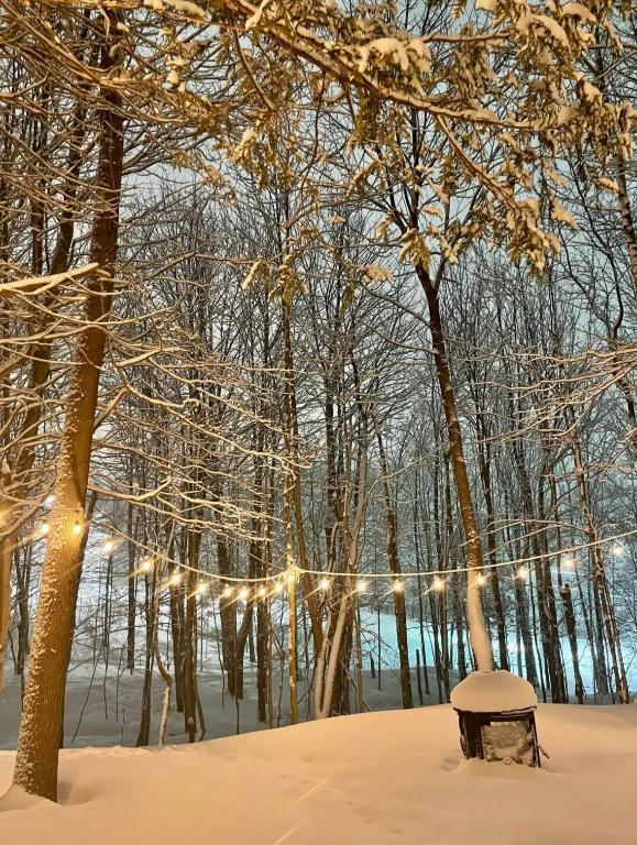 Maison à louer | 3210809