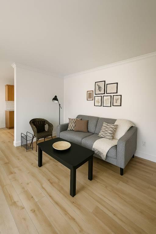 Meublé et tout inclus (grand 4 et demi) | 3210813