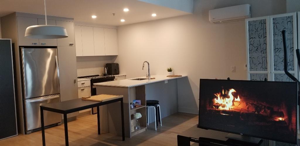 Transfert de bail de mon appartement au vieux port de Montréal pour voyage - urgent | 3210823