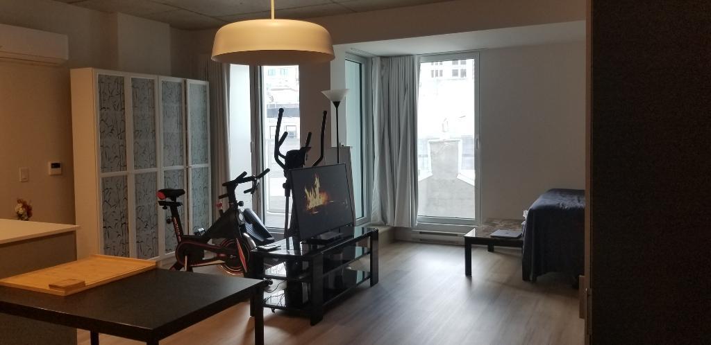 Transfert de bail de mon appartement au vieux port de Montréal pour voyage - urgent | 3210823