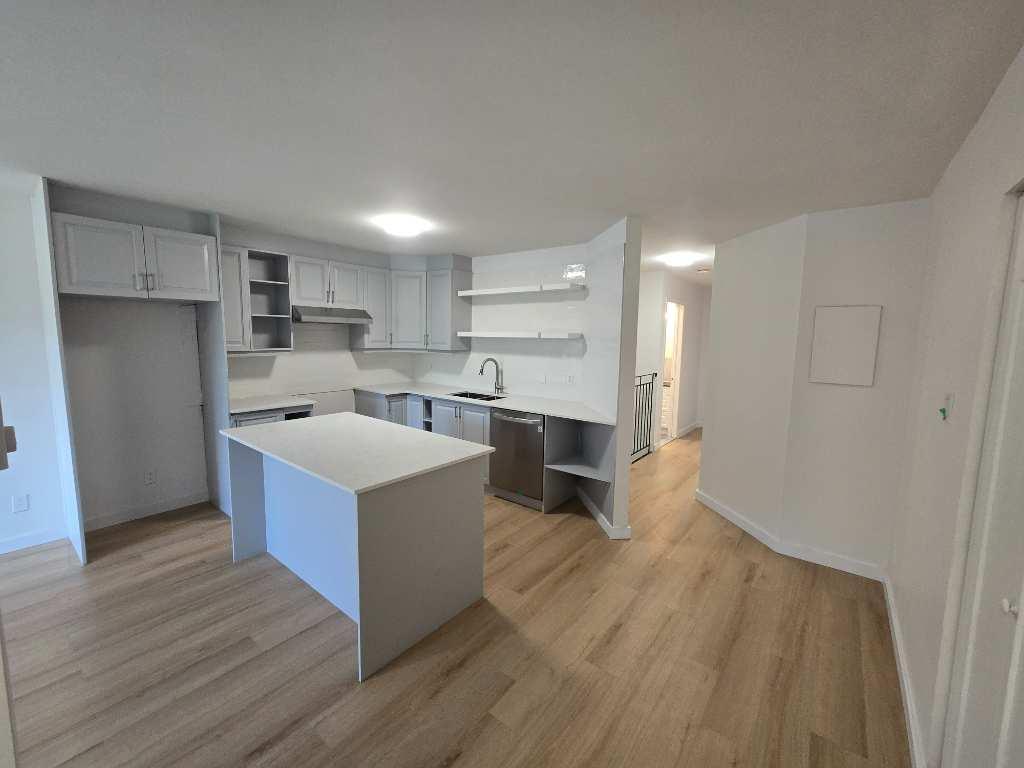 Grand 5 1/2 Rénové en Mai 2025 Style Condo 2 étages Ville Émard | 3210981