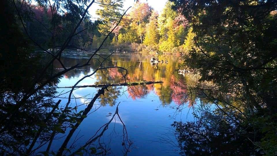 chalet Estrie lac, DEAL urgent mars Magog | 3211051