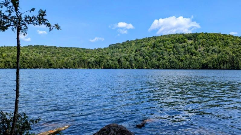 Laurentides au Lac des pins (Montcalm), petit terrain bord de l'eau à vendre | 3222409