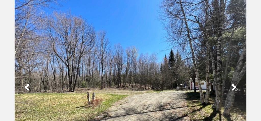 Terrain boisé 1.3 | 3222521