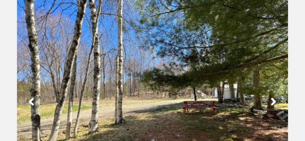 Terrain boisé 1.3 | 3222521