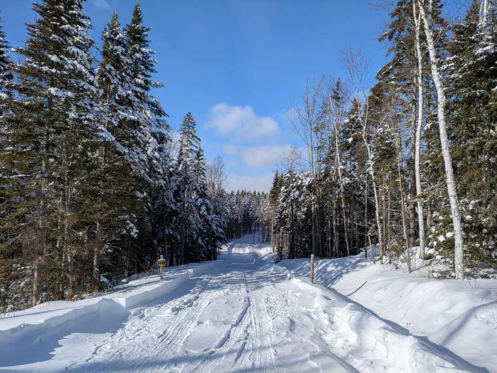 Terre à bois à Ste-Félicité de l’Islet lot zoné blanc avec chemin cours d`eau | 3222525