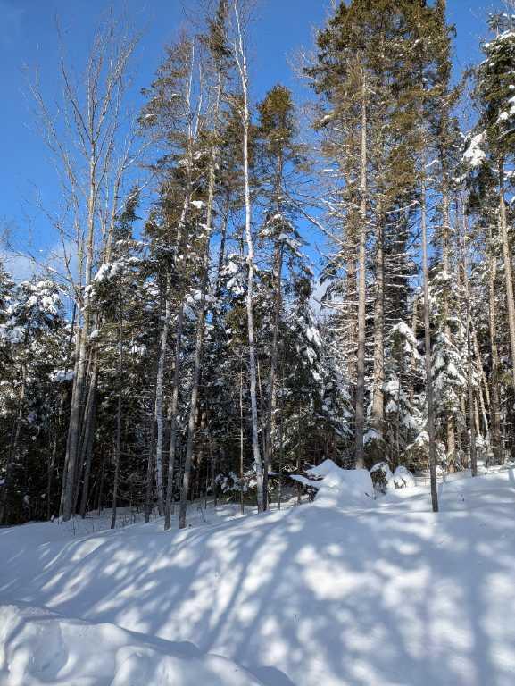 Terre à bois à Ste-Félicité de l’Islet lot zoné blanc avec chemin cours d`eau | 3222525