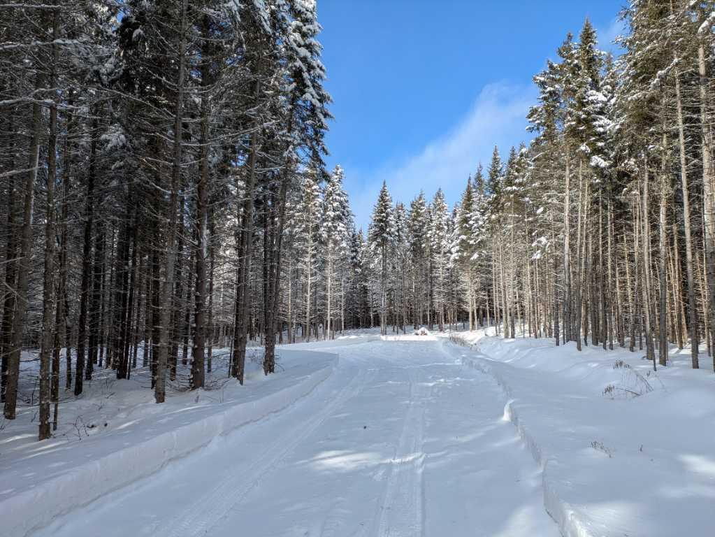 Terre à bois à Ste-Félicité de l’Islet lot zoné blanc avec chemin cours d`eau | 3222525