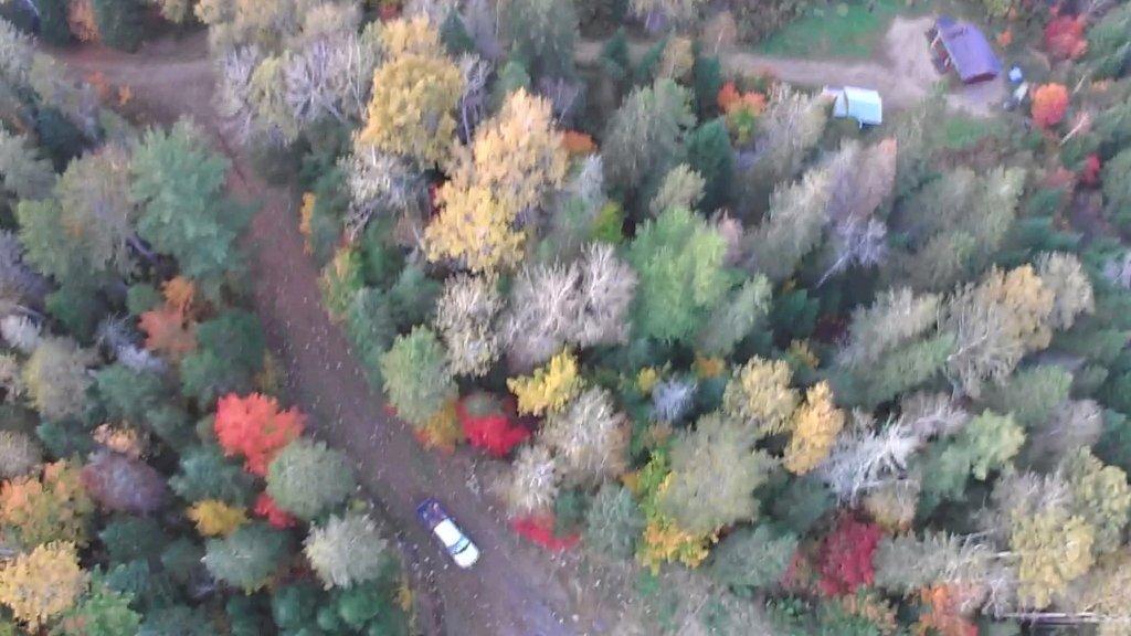 Terrain boisé sans voisins Saint-Alexis-des-Monts | 3222530