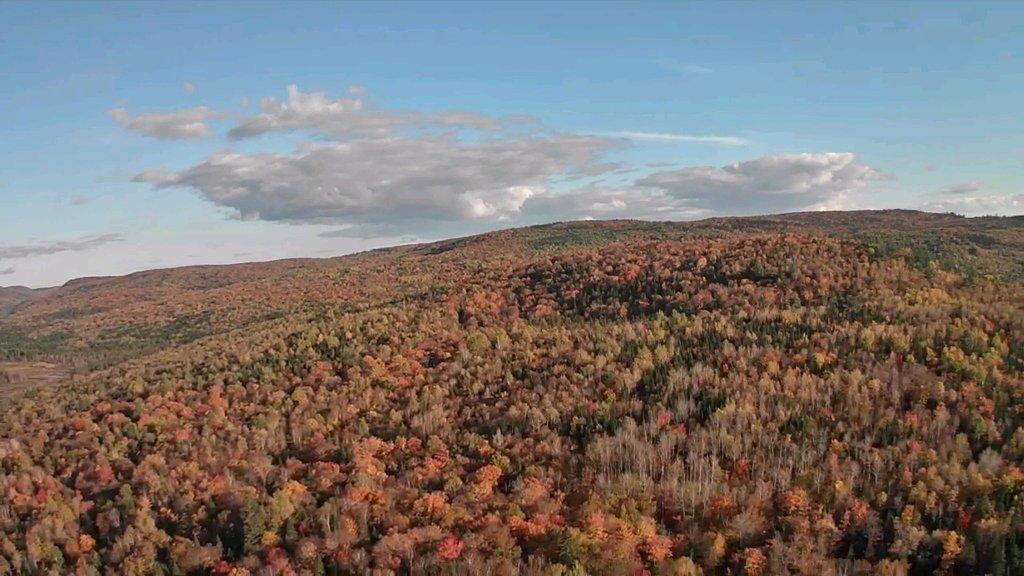 Terrain boisé sans voisins Saint-Alexis-des-Monts | 3222530
