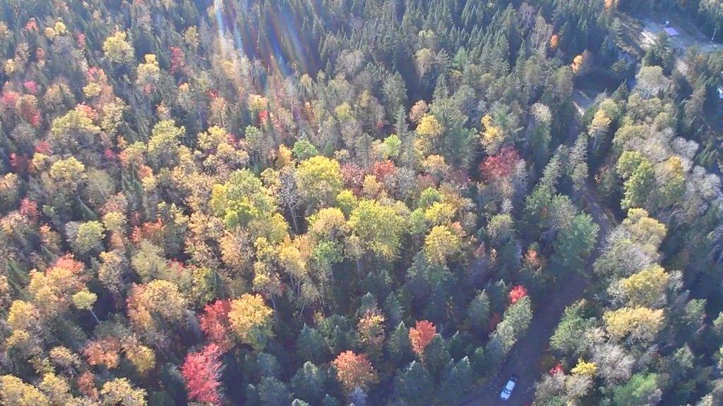 Terrain boisé sans voisins Saint-Alexis-des-Monts | 3222530