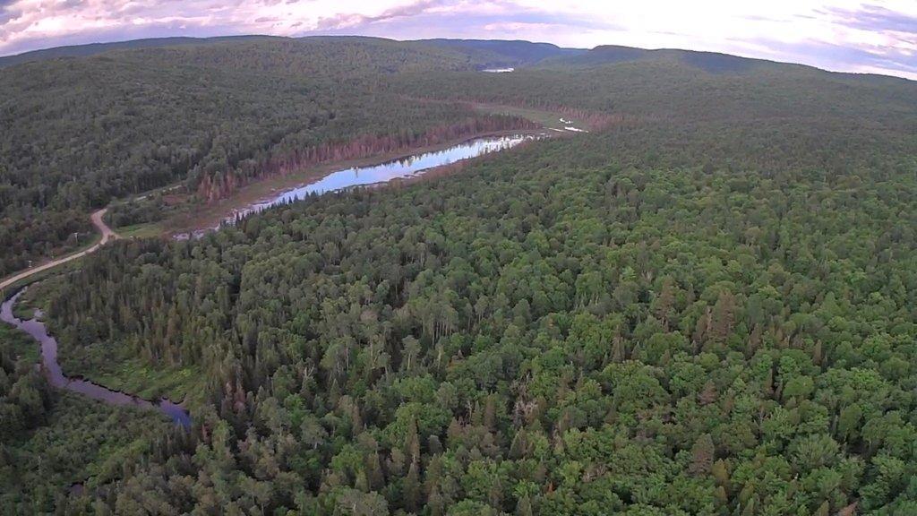 Terrain boisé sans voisins Saint-Alexis-des-Monts | 3222530