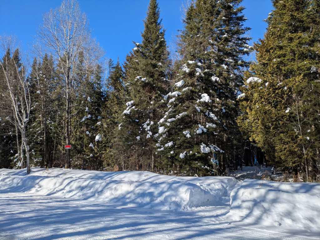 Terre à bois à St-Adalbert lot zoné blanc cours d’eau chasse | 3222606