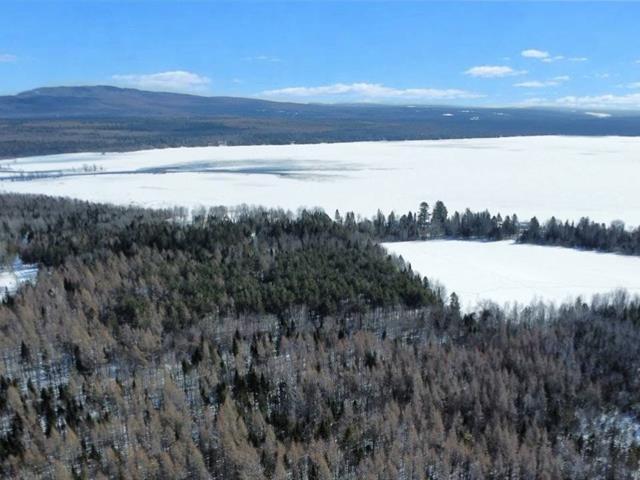 Weedon (Estrie) : Terrain boisé de 7,51 acres, droit de construction résidentiel, accès au lac Louise, chemin privé | 3225006