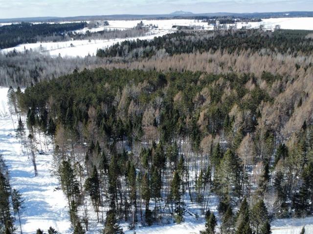 Weedon (Estrie) : Terrain boisé de 7,51 acres, droit de construction résidentiel, accès au lac Louise, chemin privé | 3225006