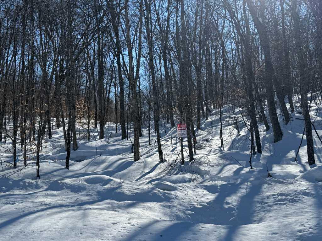Terrain à vendre Lac Supérieur, Tremblant | 3222634