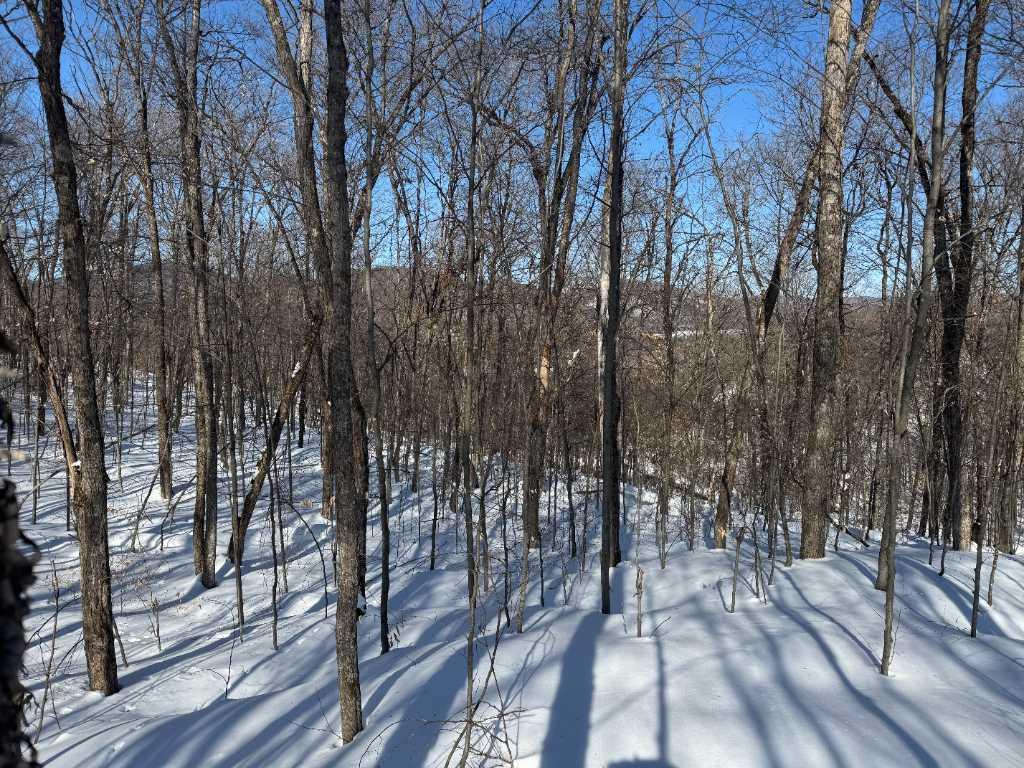 Terrain à vendre Lac Supérieur, Tremblant | 3222634