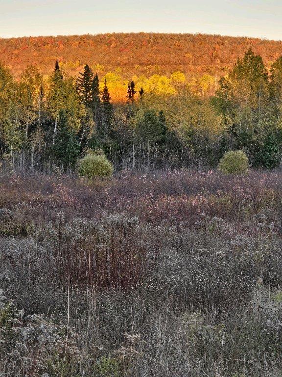 magnifique terrain bord de la rivière et vue sur le Mont Mégantic | 3229965