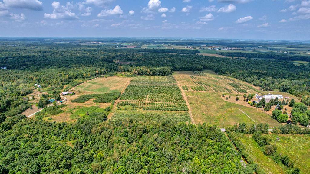 Montérégie: petit verger sur 6,24 ha | 5380 pommiers en production, un site idéal pour entreprendre votre production ou agrandir votre entreprise! | 3222732