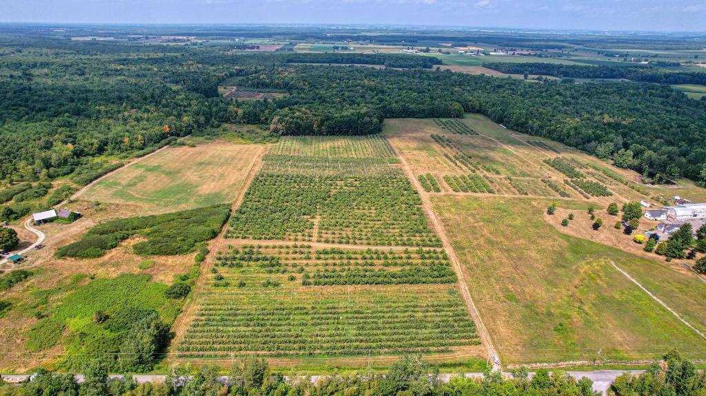 Montérégie: petit verger sur 6,24 ha | 5380 pommiers en production, un site idéal pour entreprendre votre production ou agrandir votre entreprise! | 3222732