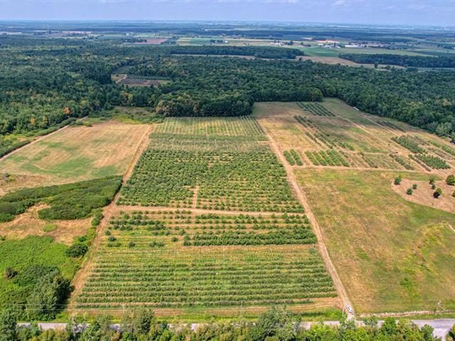 Montérégie: petit verger en production sur 6,24 ha - 5380 pommiers - Sol idéal pour verger - Une opportunité à saisir! | 3222733