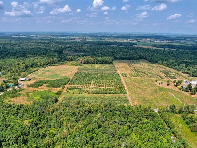 Montérégie: petit verger en production sur 6,24 ha - 5380 pommiers - Sol idéal pour verger - Une opportunité à saisir! | 3222733