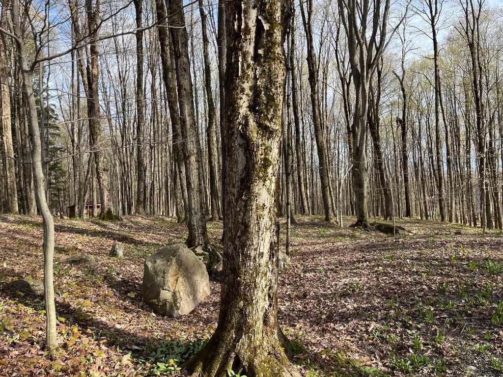 Terrain à vendre - Mont Shefford | 3222736