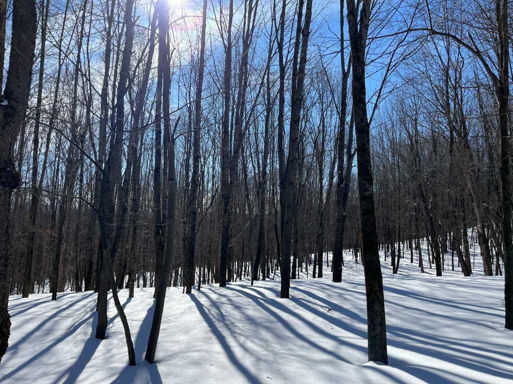 Terrain à vendre - Mont Shefford | 3222736