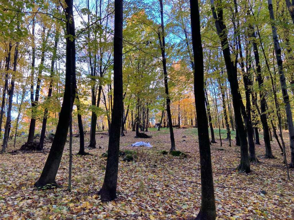 Terrain à vendre - Mont Shefford | 3222736