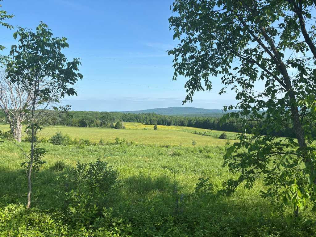 Estrie (Lingwick): terre nue sans bâtiment - route 108, 125,3 acres ou 50,74 hectares, 85 % de terre cultivable | Un investissement stratégique! | 3222745