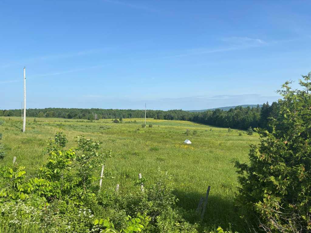 Estrie (Lingwick): terre nue sans bâtiment - route 108, 125,3 acres ou 50,74 hectares, 85 % de terre cultivable | Un investissement stratégique! | 3222745