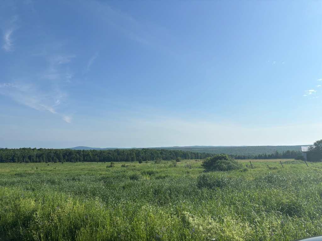 Estrie (Lingwick): terre nue sans bâtiment - route 108, 125,3 acres ou 50,74 hectares, 85 % de terre cultivable | Un investissement stratégique! | 3222745