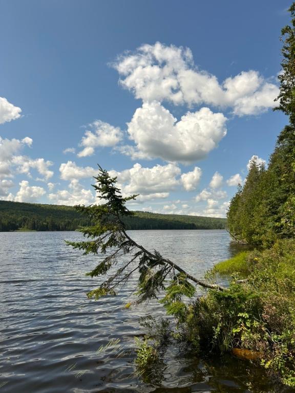 Terrain bord de l'eau | 3222748