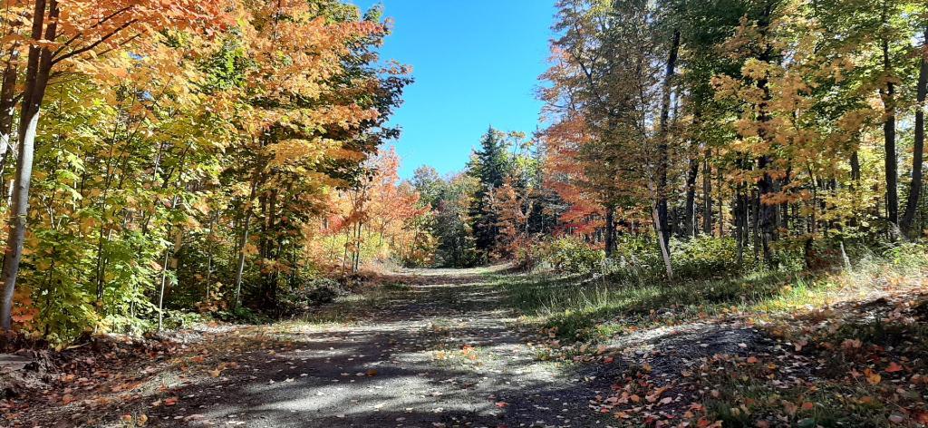 Lot a bois avec lac et fort potentiel acéricole | 3222810