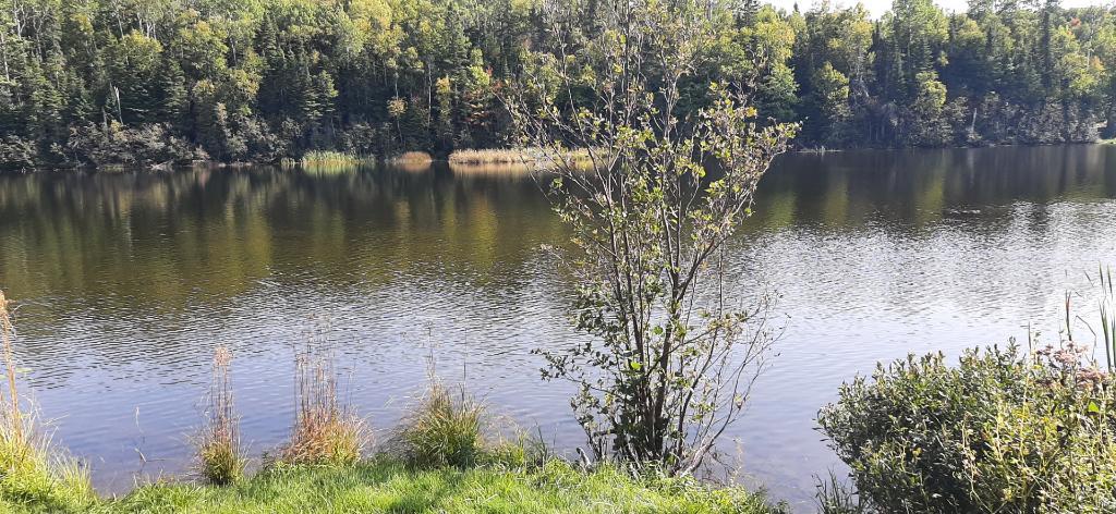 Lot a bois avec lac et fort potentiel acéricole | 3222810